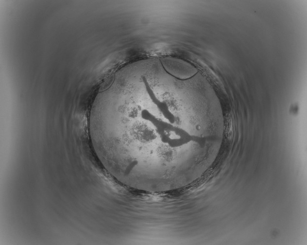 X0000091360523200708101422