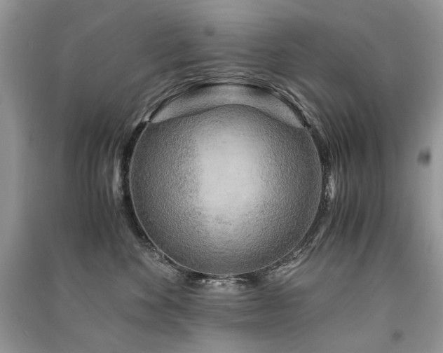 X0000091360524200708101422