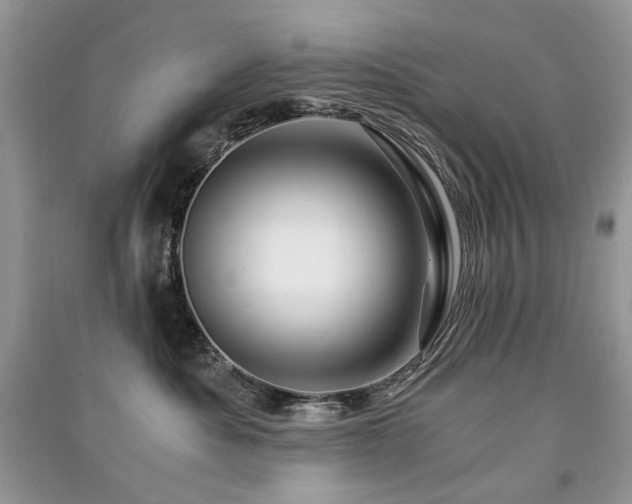 X0000091360525200708101422