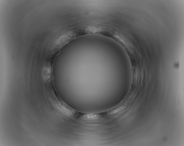 X0000091360526200708101422
