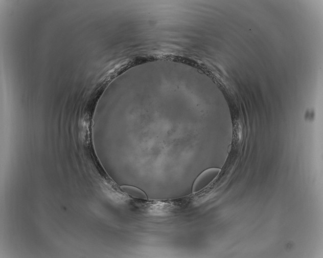 X0000091360527200708101422