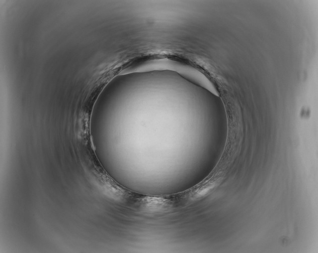 X0000091360528200708101422