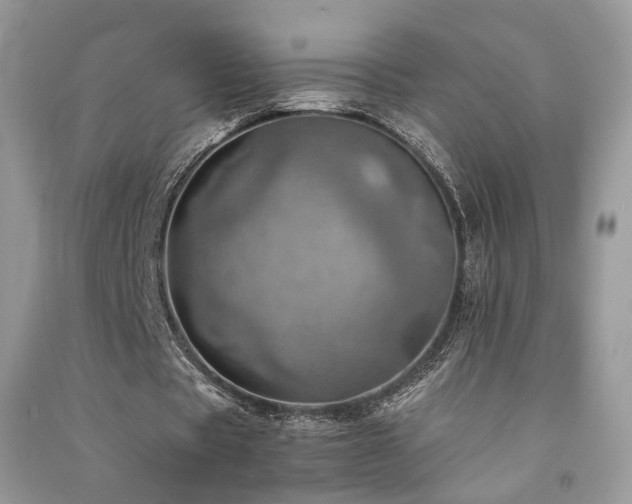 X0000091360529200708101421