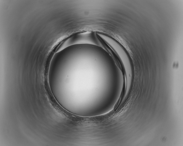 X0000091360530200708101421