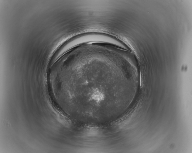 X0000091360531200708101421