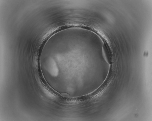 X0000091360533200708101421