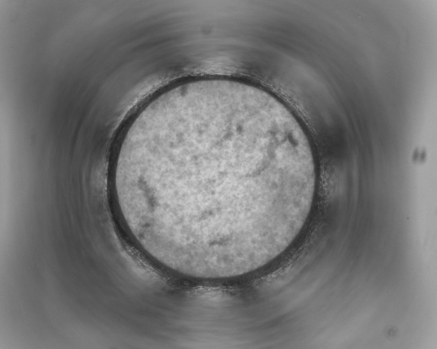 X0000091360534200708101421