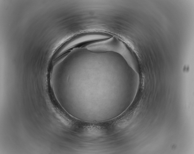 X0000091360535200708101421