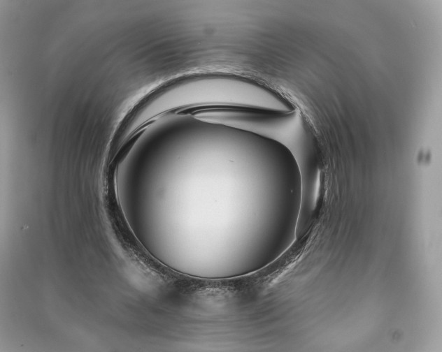 X0000091360536200708101421
