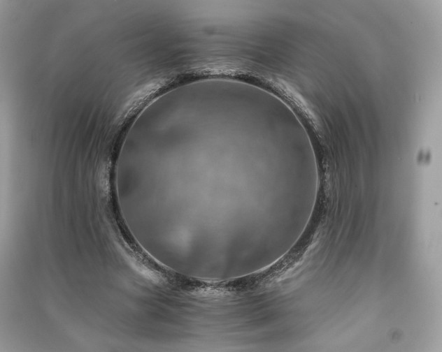 X0000091360537200708101421