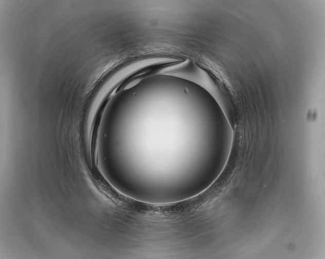 X0000091360538200708101421