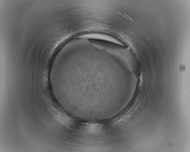 X0000091360539200708101421