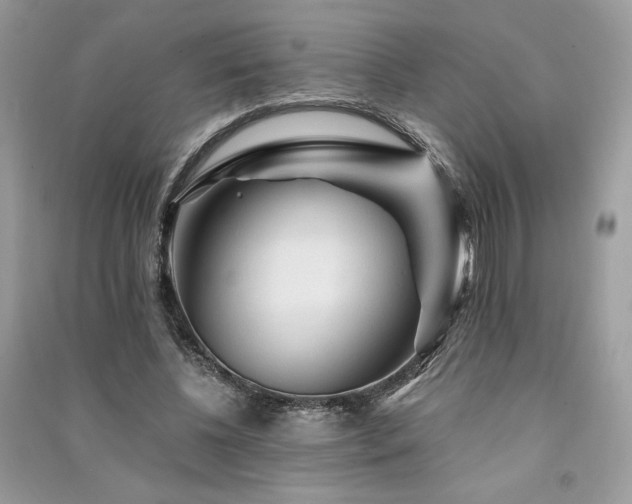 X0000091360540200708101421