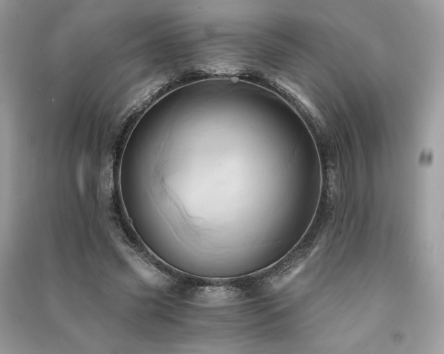X0000091360541200708101421