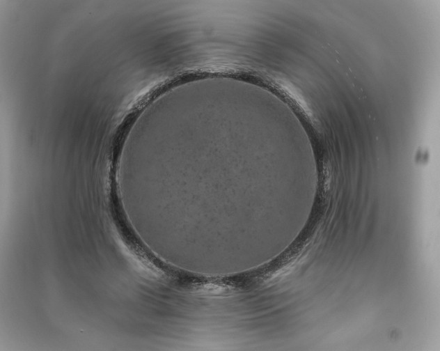 X0000091360542200708101421