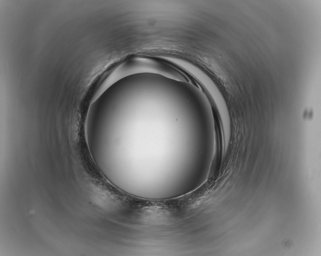X0000091360544200708101421