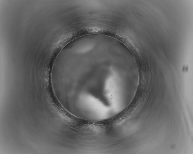 X0000091360545200708101421