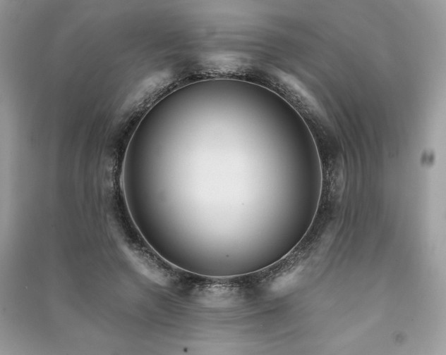 X0000091360546200708101421