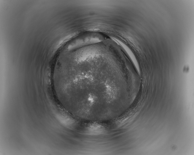 X0000091360547200708101421