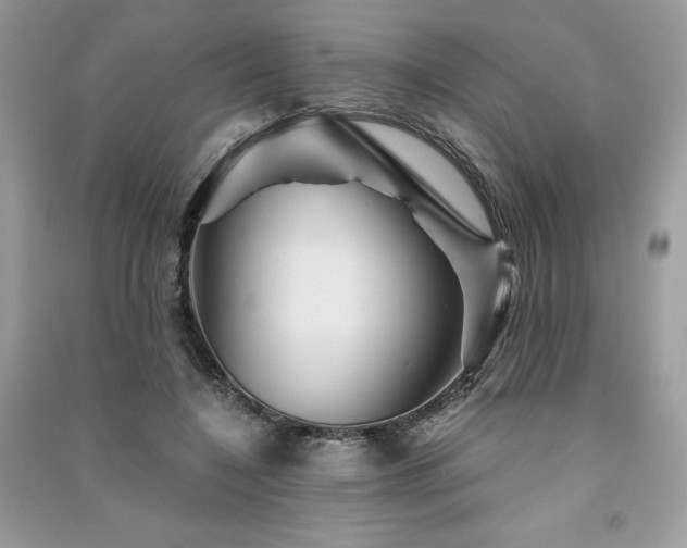 X0000091360548200708101421