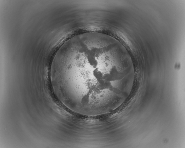X0000091360549200708101421