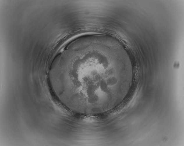 X0000091360550200708101421