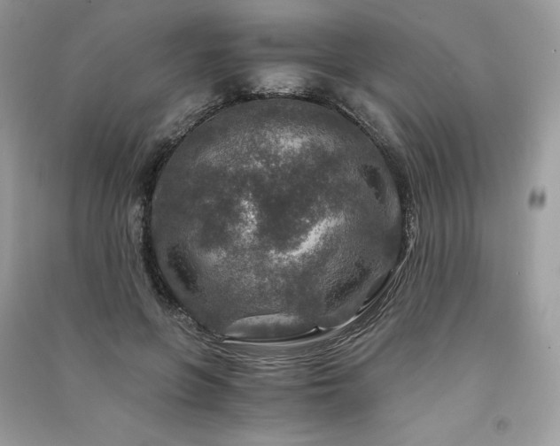 X0000091360551200708101421