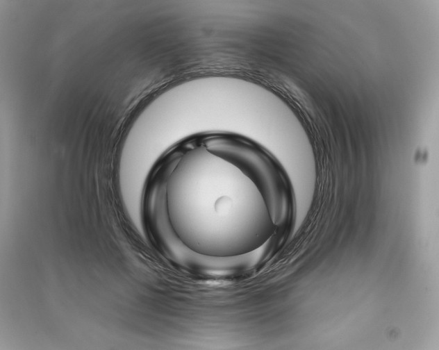 X0000091360552200708101421