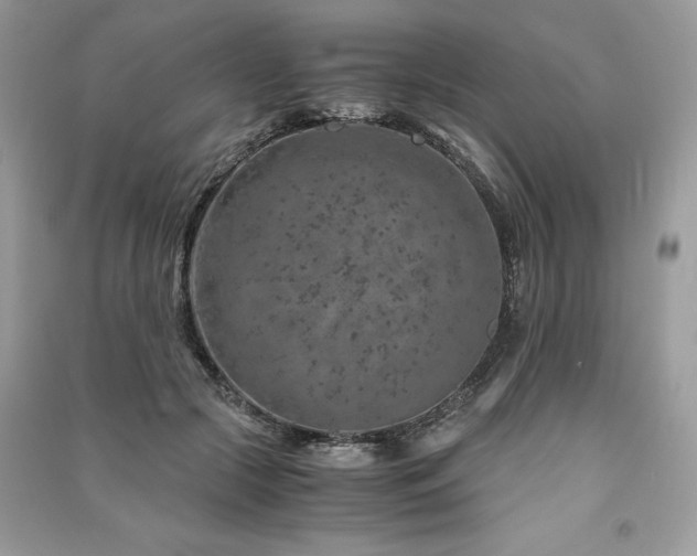 X0000091360553200708101421