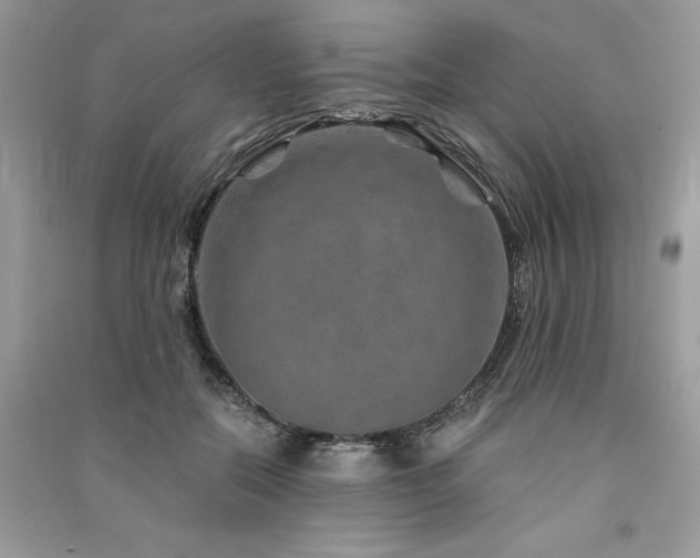 X0000091360554200708101421
