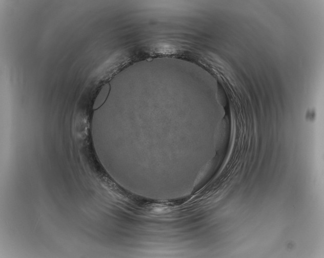 X0000091360555200708101421