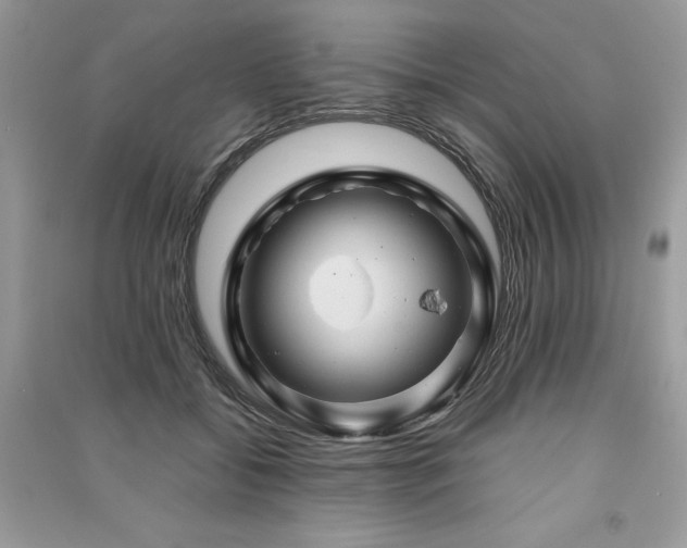 X0000091360556200708101421