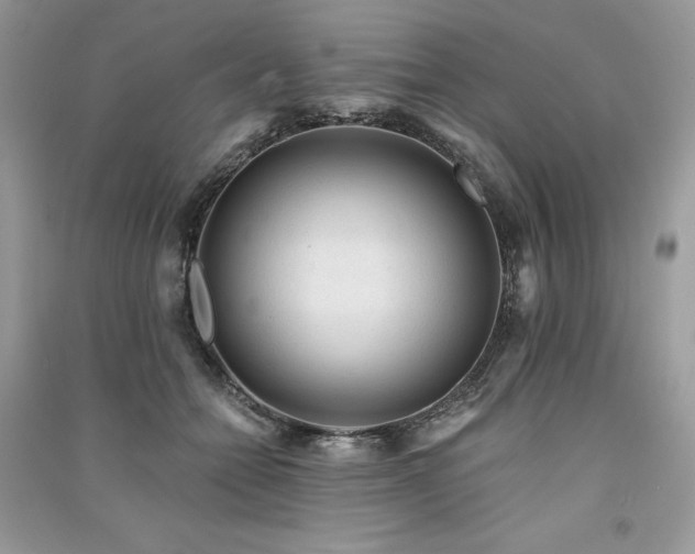 X0000091360558200708101421