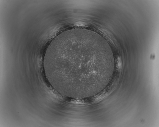 X0000091360559200708101421