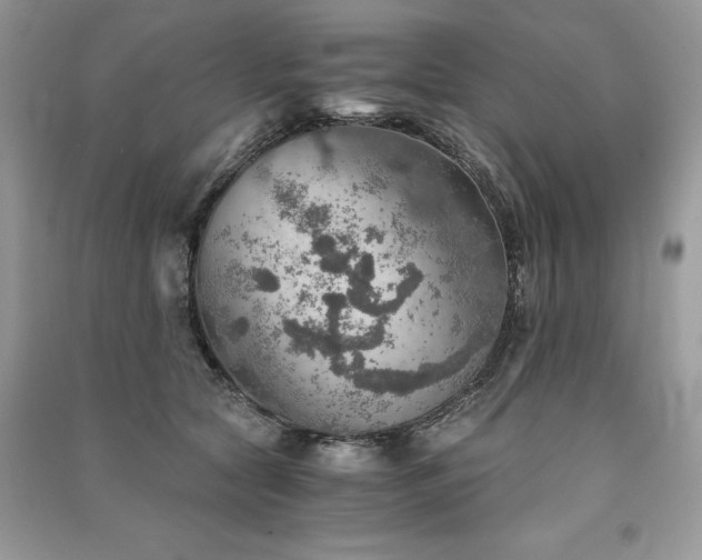 X0000091360561200708101421