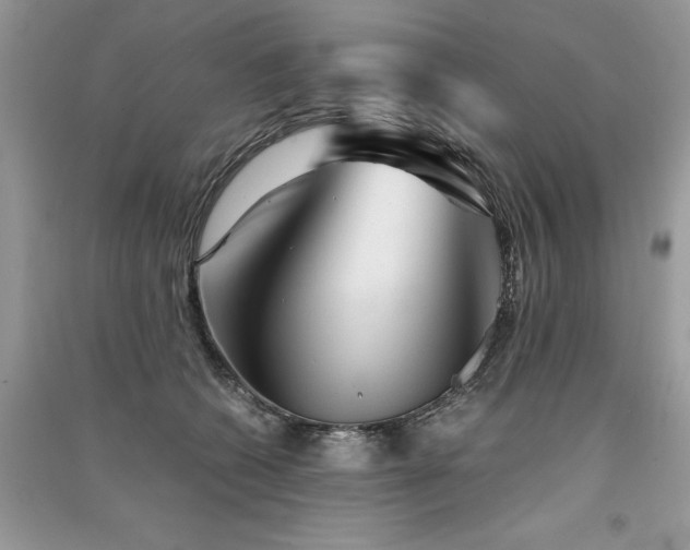 X0000091360562200708101421