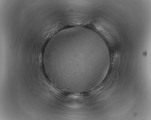 X0000091360563200708101421