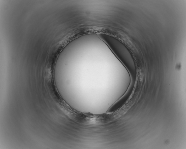 X0000091360564200708101421