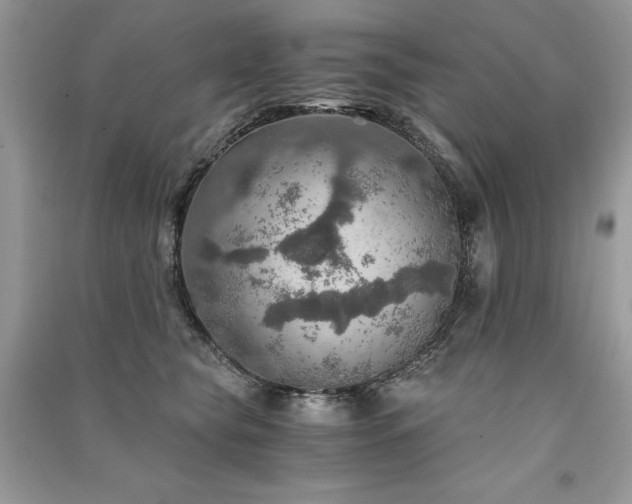 X0000091360565200708101421