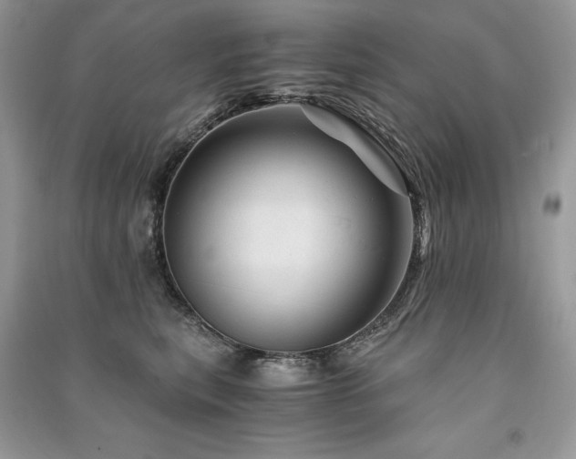 X0000091360567200708101421