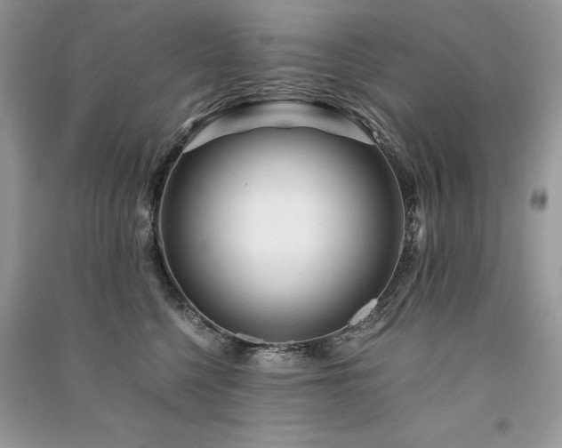 X0000091360568200708101421