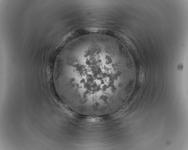 X0000091360569200708101421