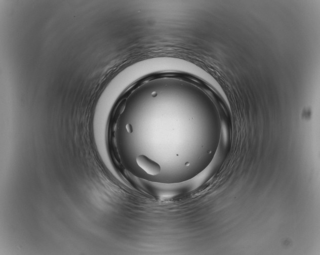 X0000091360570200708101422