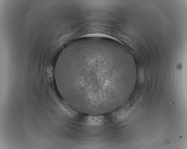 X0000091360571200708101422