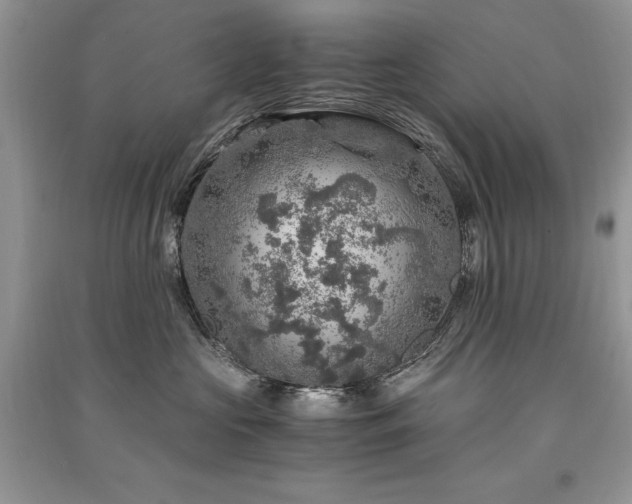 X0000091360573200708101422
