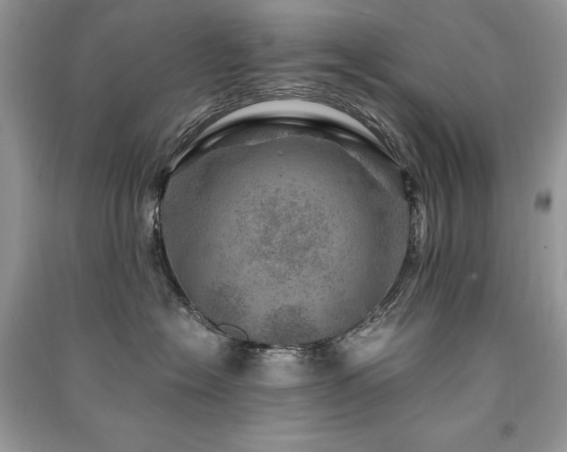 X0000091360574200708101422