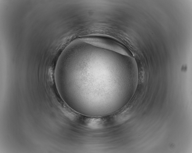 X0000091360575200708101422