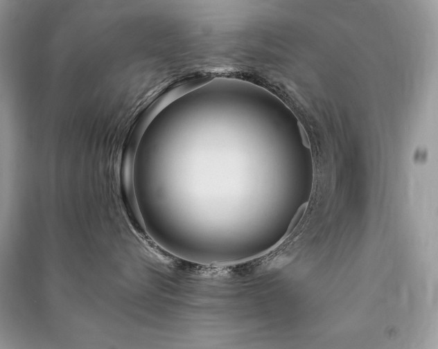 X0000091360576200708101422