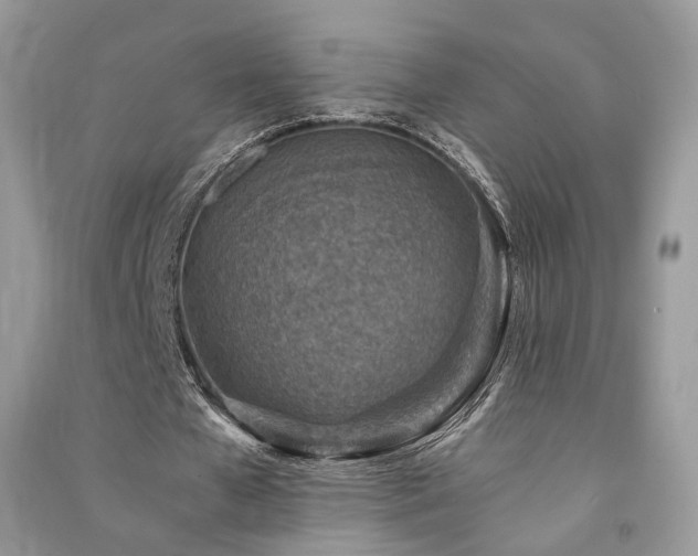 X0000091360577200708101421