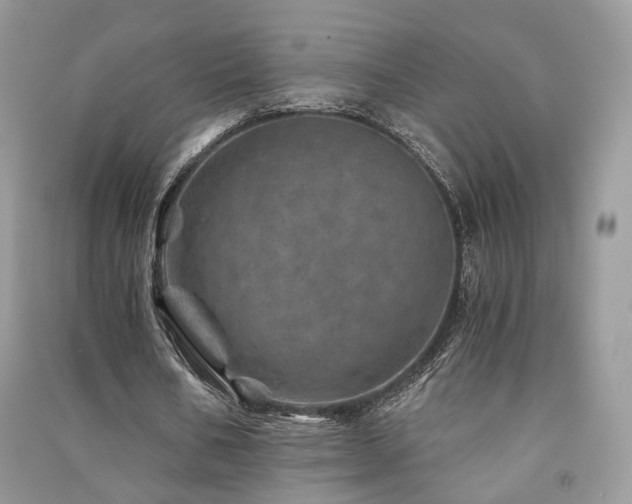 X0000091360578200708101421